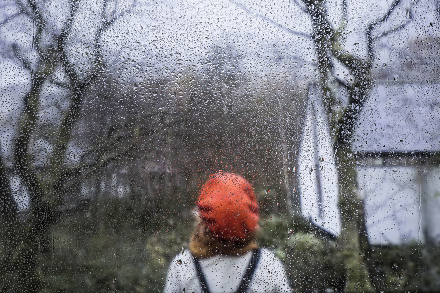 雨